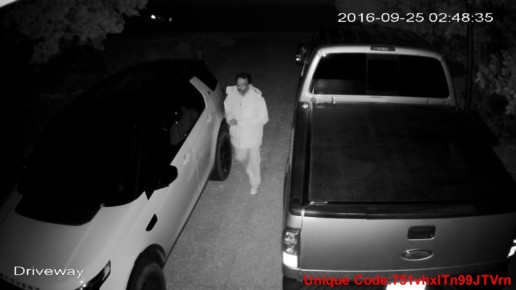 Auto Thief September 2016