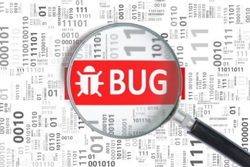 Software Bug